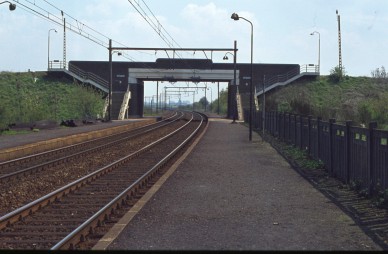 Kumtich - TH 79-1955 (2).jpg